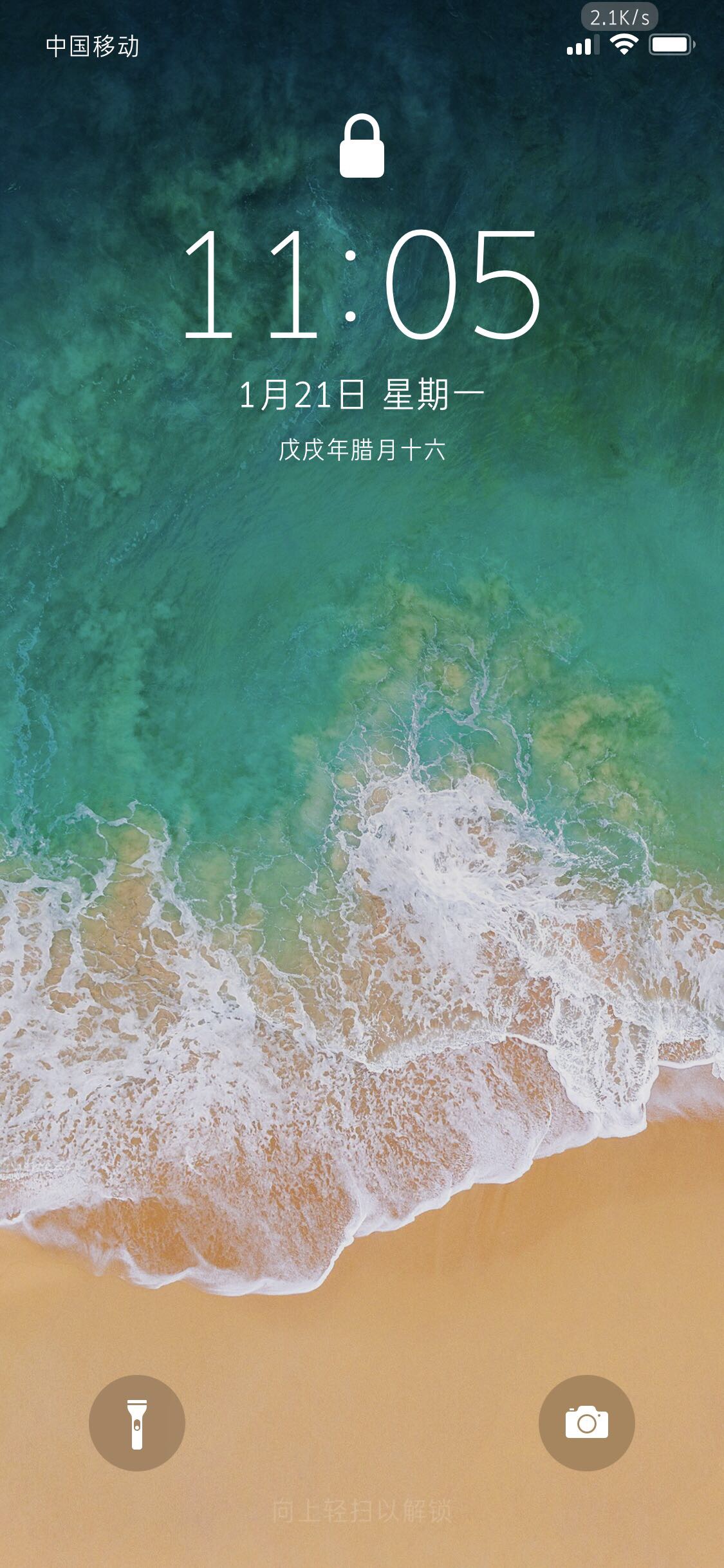 阿丽达
